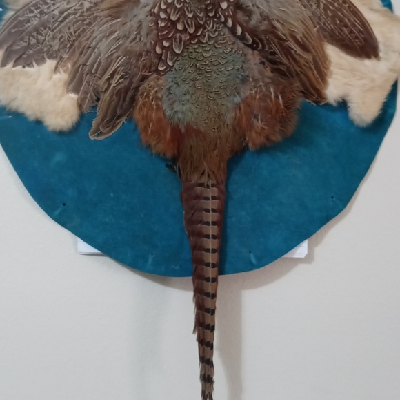 Pheasant   Decoration - Picture 2 of 4